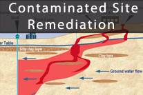 Contaminated Site Remediation